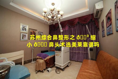 苏州综合鼻整形之 🐳 缩小 🐕 鼻头术选美莱靠谱吗